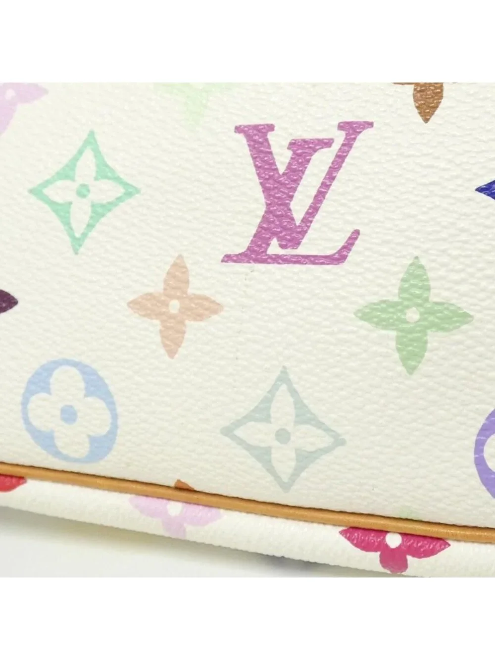 Louis Vuitton Multicolor Pochette Accessoires Pouch